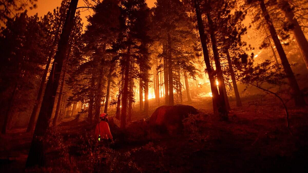 Dustin Johnston of the U.S. Forest Service Lake Tahoe Basin unit watches the Caldor Fire advance toward buildings near Meyers in 2021. The wildfire burned 221,835 acres over 67 days, destroying more than 1,000 structures and becoming one of the largest wildfires in California history.